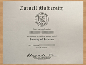 Your Path to a Cornell University diploma Starts Here.