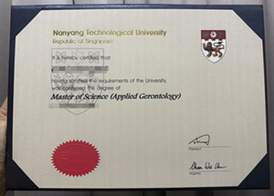 Offer Nanyang Technological University diploma.