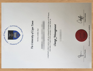 Process of The University of Cape Town diploma.