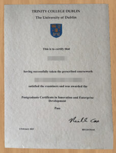 Apply for a The University of Dublin diploma.