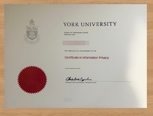 How to make the York University degree?